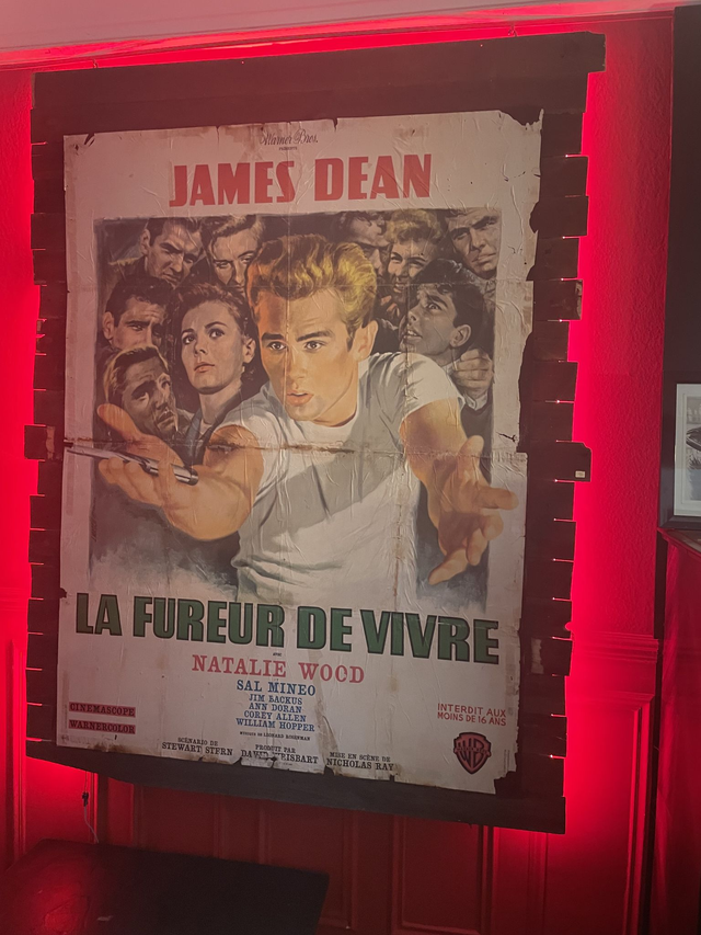 Affiche originale La Fureur de Vivre