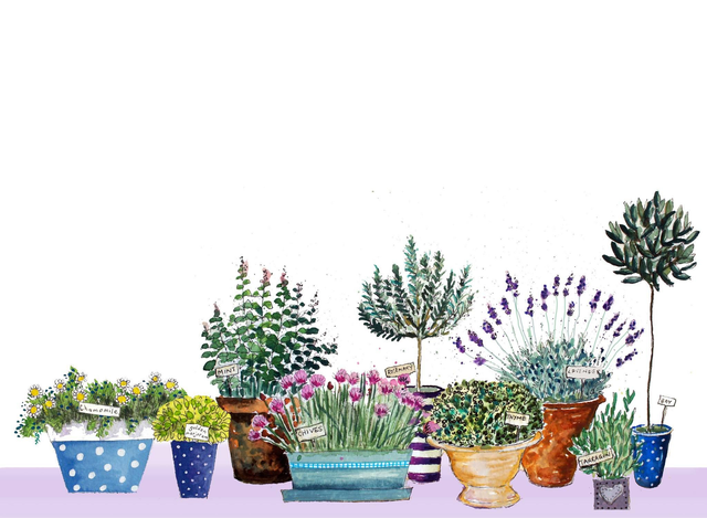 Notecards Herb Garden NC002