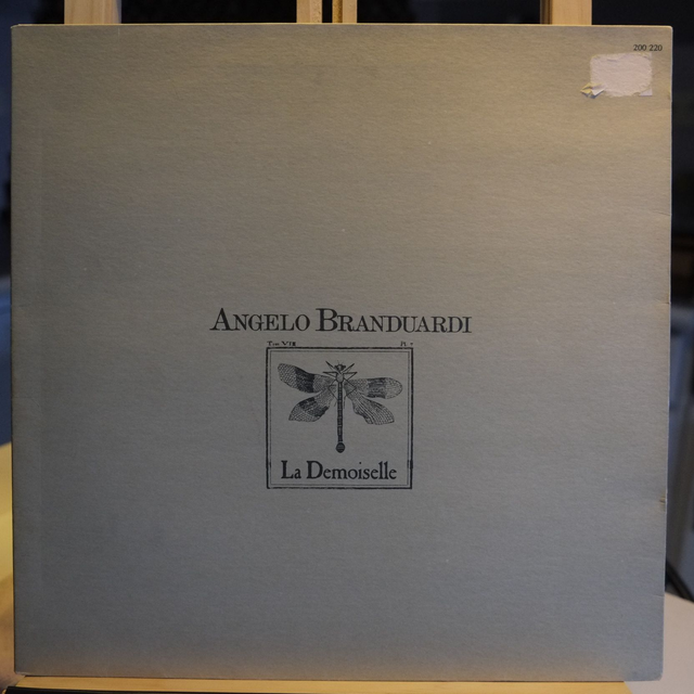 Angelo Branduardi - La demoiselle