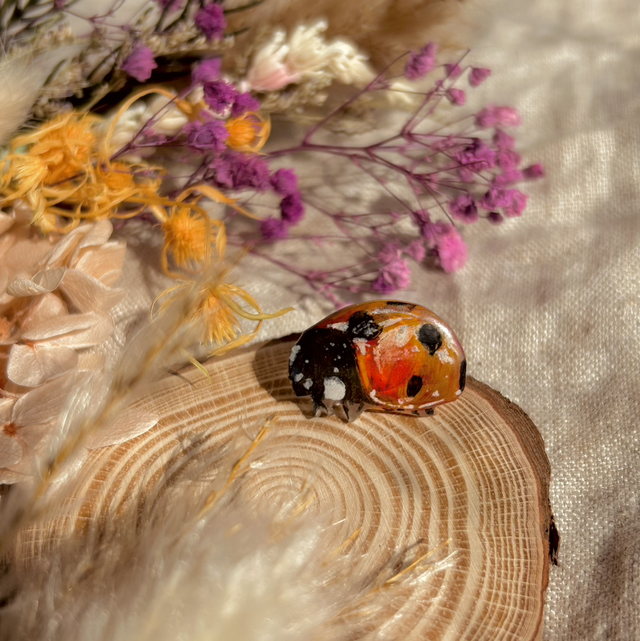 Ladybird Pin Badge