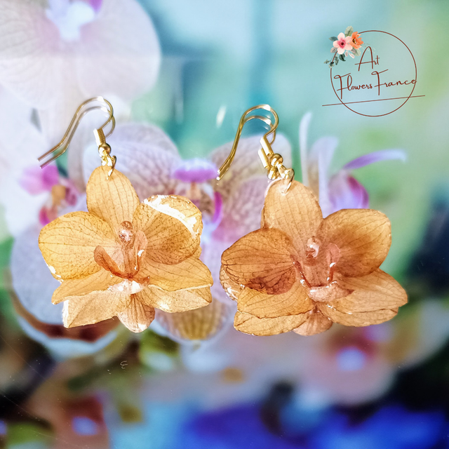 Boucles d&#039;oreilles orquidée