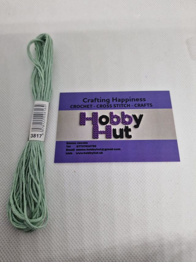 Embroidery Thread - 3817