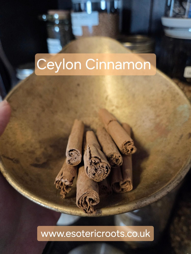 True Ceylon Cinnamon: The Sacred Spice of Manifestation
