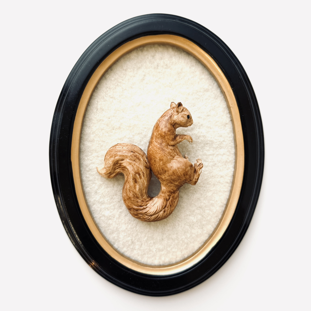 KOA CLINGERS — Squirrel
