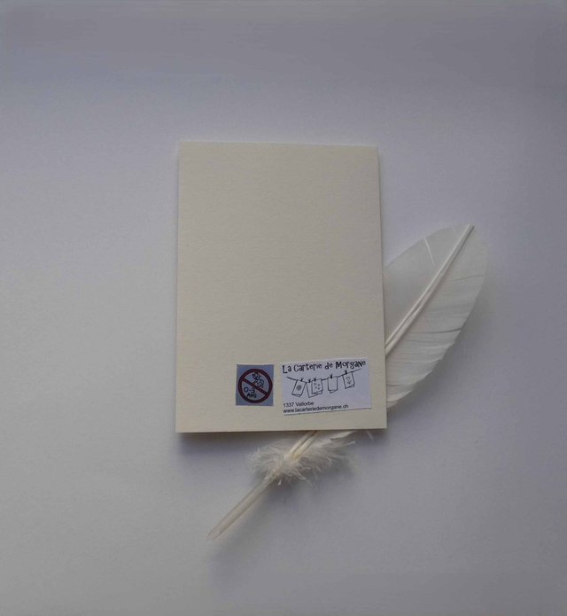 La fleur de la Saint-Valentin