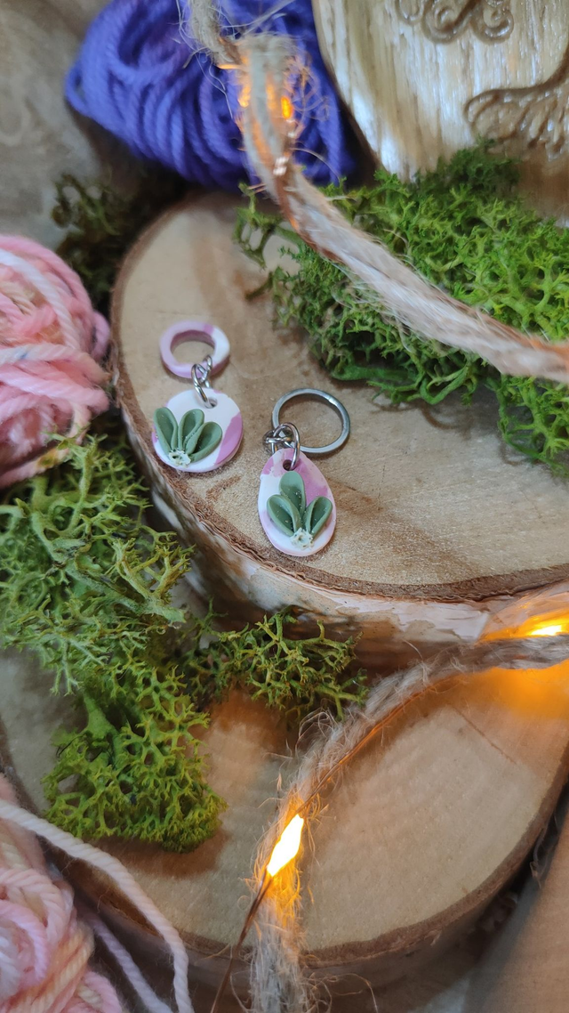 Marqueurs Succulente lot de 2