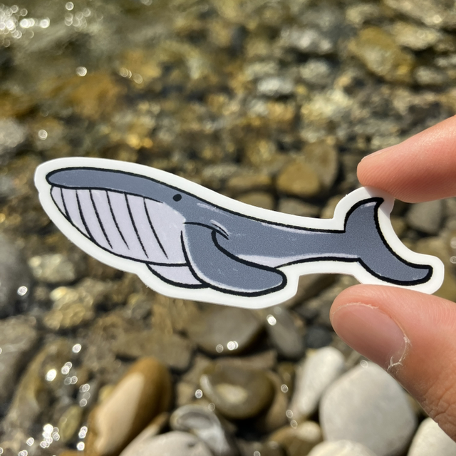Whale Sticker