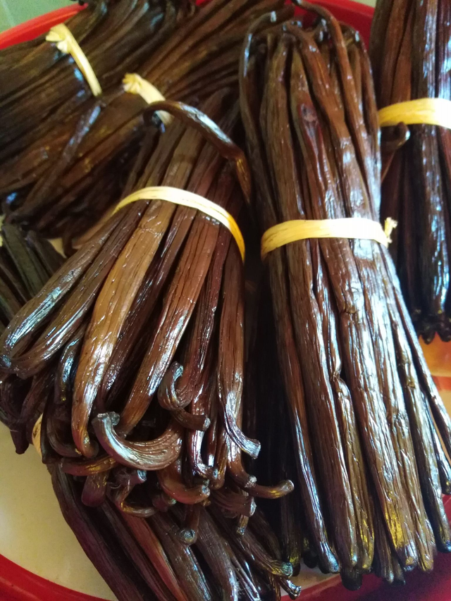 Bacche di Vaniglia di Bourbon BIO (qualità premium)