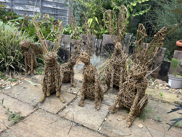 Sculptural Hare: 22/08/26  9:30 -3:30