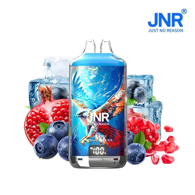 JNR puff 28000– Blueberry Pomegranate Ice