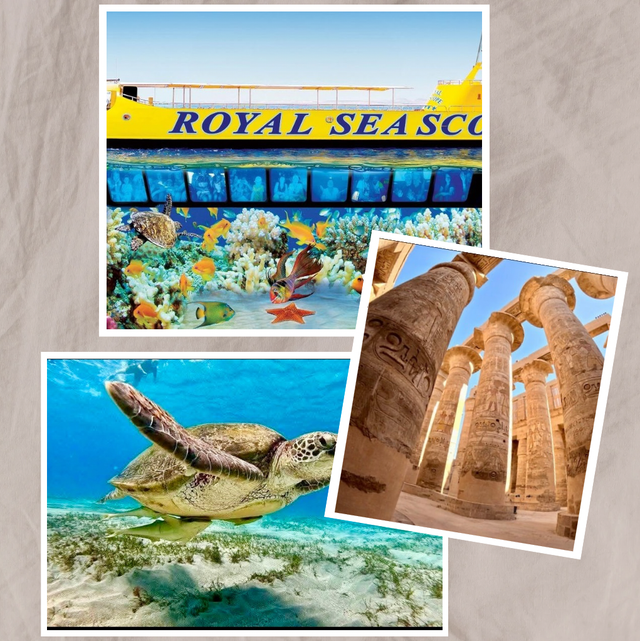 Offre Histoire et Passion 