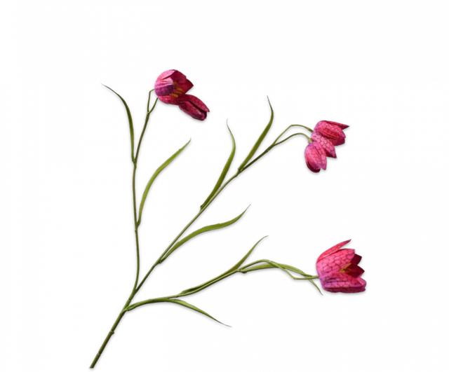 Silk-Ka Fritillaria Tak Beauty 