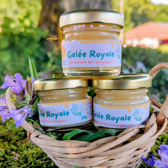 Gelée royale : Lot de 3 pots de 30g