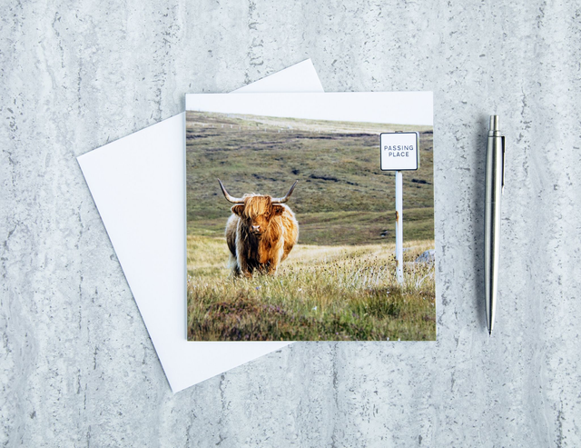 Mooove Over! Blank Card
