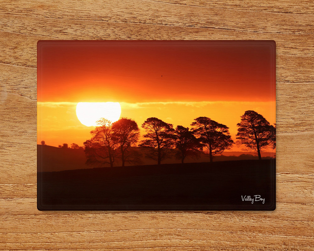 "Lion King Sunrise" Glass Worktop Saver  