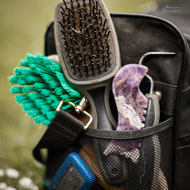 Paardenschraper mini