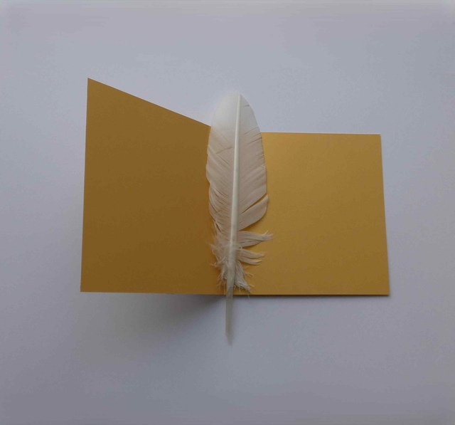 Le sapin le père noël et les cadeaux