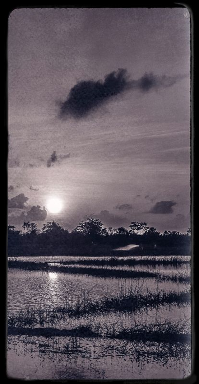 Sans savoir pourquoi