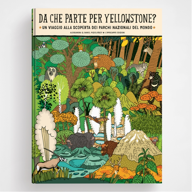 Da che parte per Yellowstone?