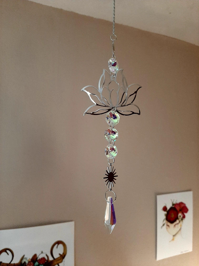 Attrape Soleil Lotus