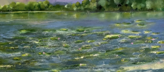 Cartolina singola Ninfee 1