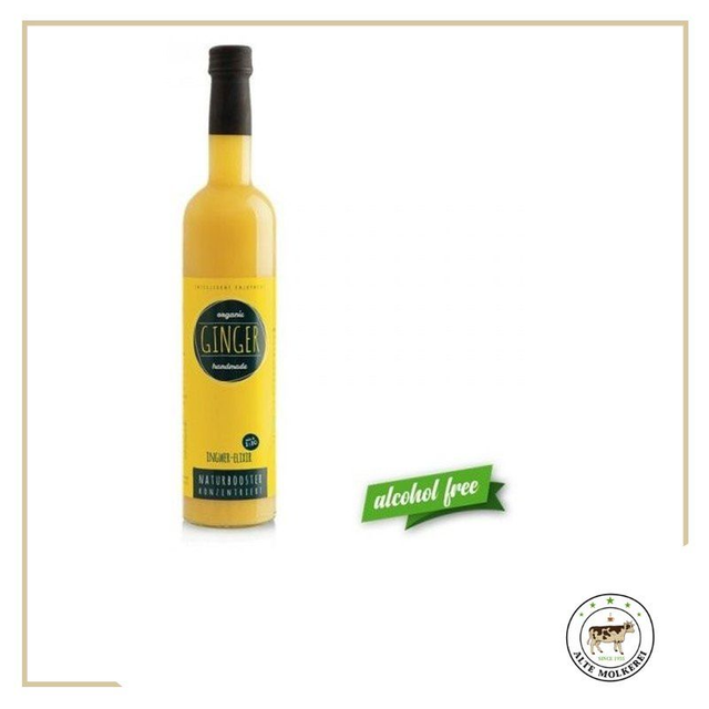 Retter BIO Elixier Ginger Ingwer 500ml