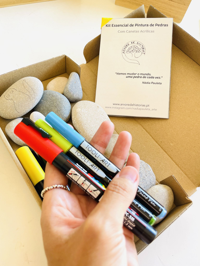 Kit Essencial de Pintura de Pedras