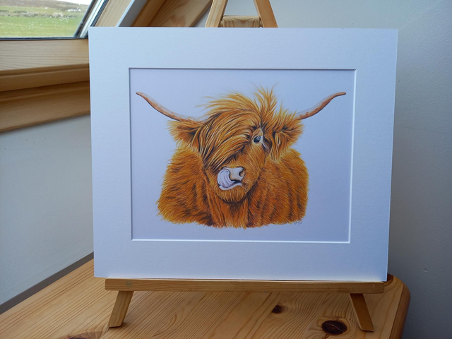 Highland Cow Print