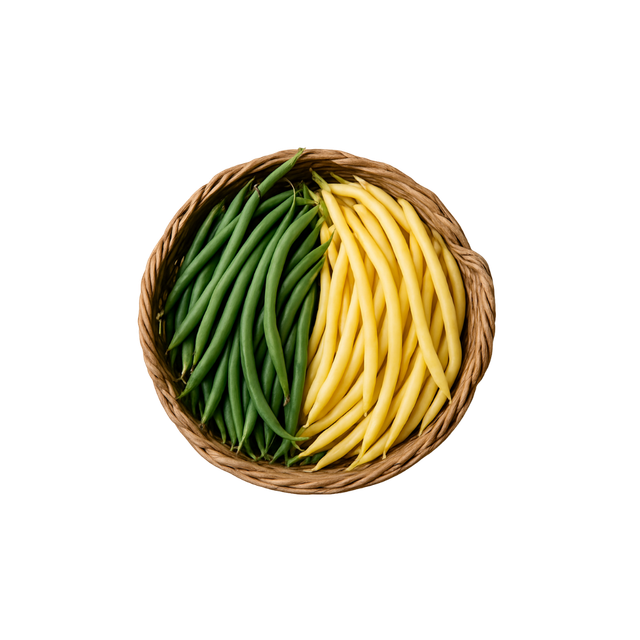 Haricot vert / beurre 🧺