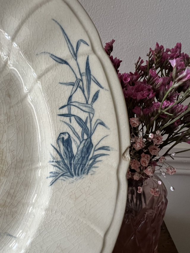 OISEAUX 1 - Assiette plate aux Oiseaux par la manufacture française de Gien - Terre de Fer