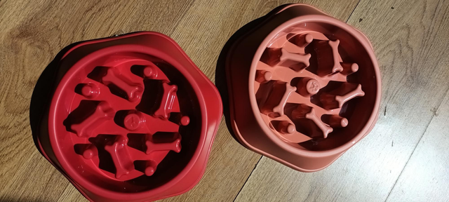 Slow Feeding, anti gulp bowl