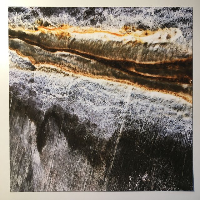 "Insinuate" - Tirage Photo FineArt (30x30 sans cadre)