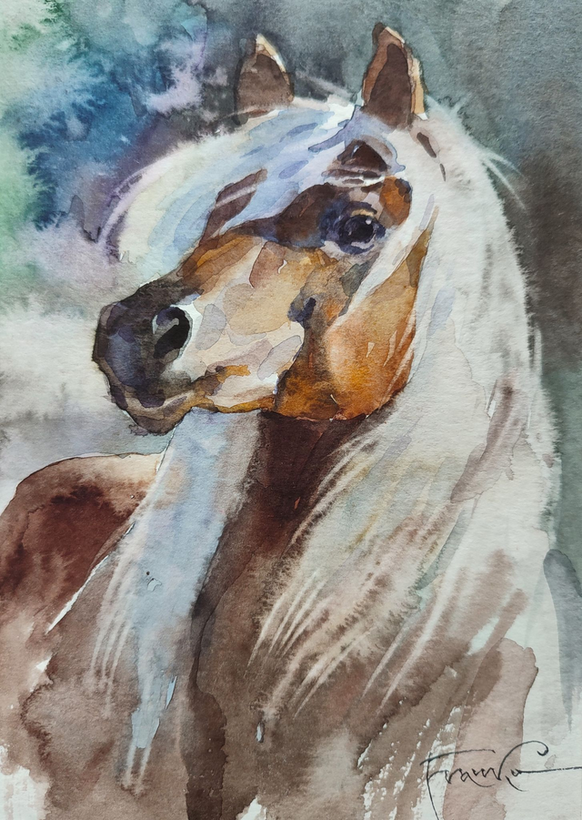 Koń, 30x24 (21x15 w świetle passe-partout) akwarela