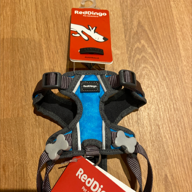 Harness RedDingo xs 