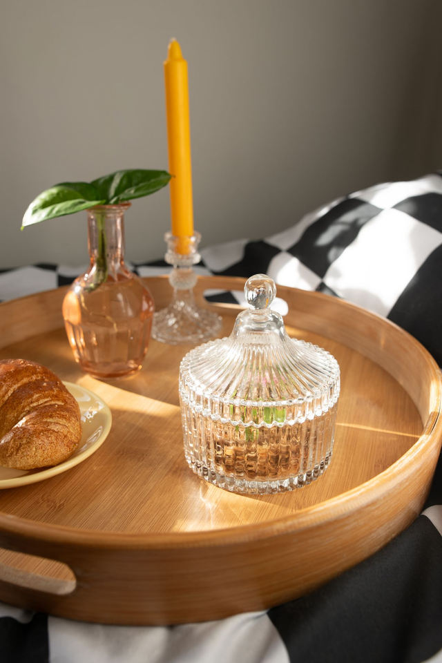 Tiny greenhouse 🪴 Kit propagation plantes – terrarium miniature