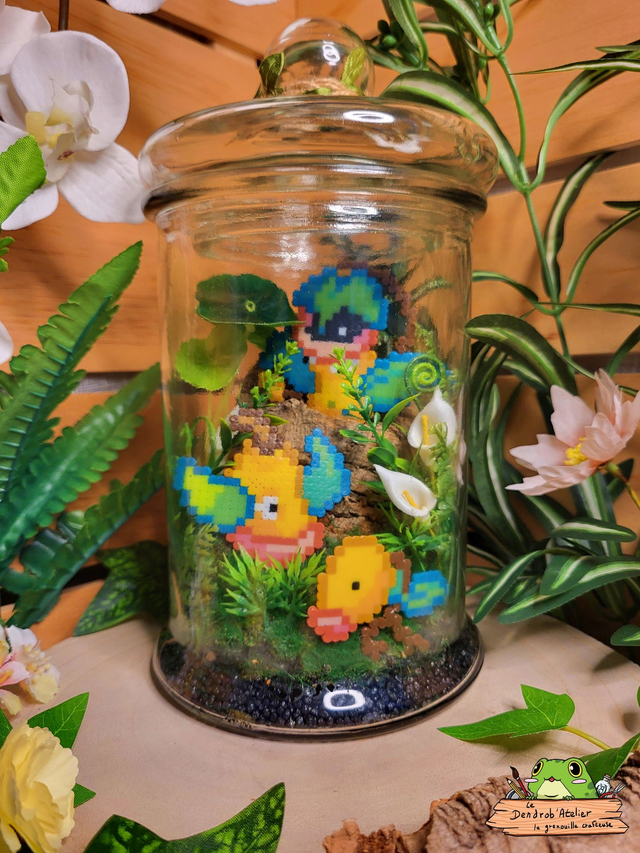 Terrarium Chétivolution