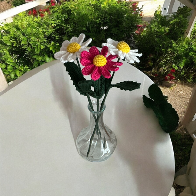 Crochet Daisies