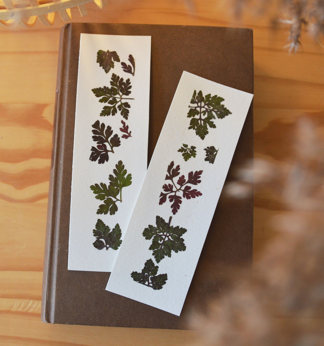 Marque-page de plantes séchées