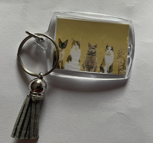 Porte clé chats