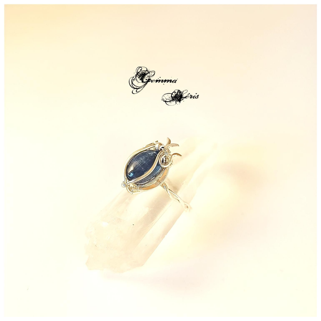 Neptune - ou l'hommage à la nature impétueuse T 62