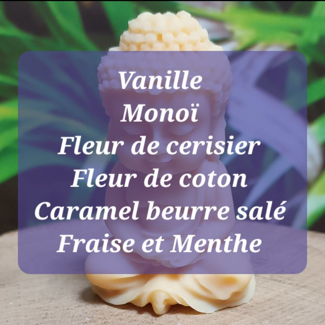 Lot de 6 Fondants Parfumés - 5 + 1 Offert
