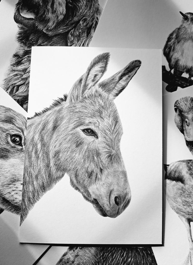 Donkey Greetings Card