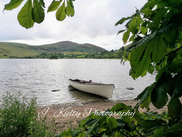 Springtime at Lough Talt, County Sligo. 