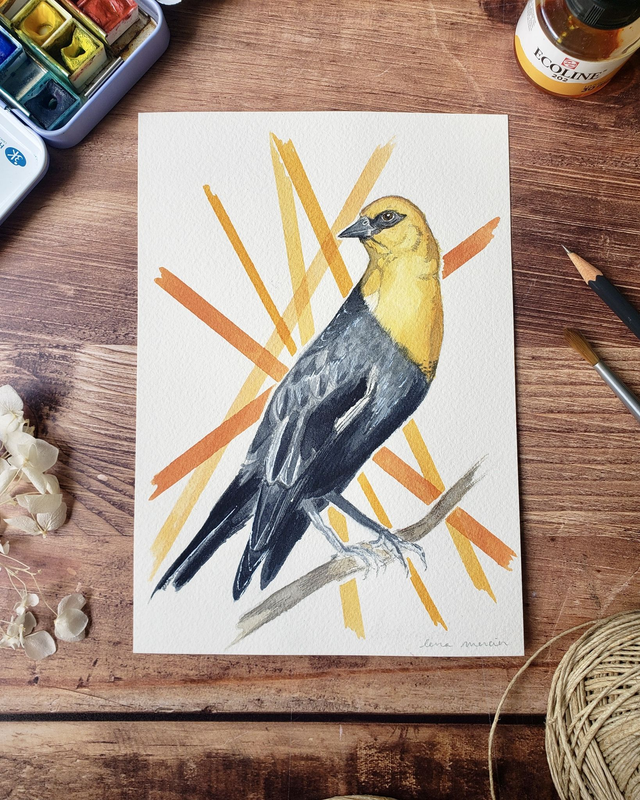 Aquarelle originale - Carouge à tête jaune