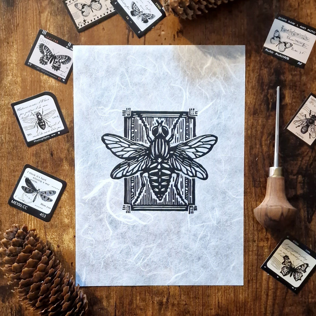 Linogravure - L&#039;insecte - La Mouche