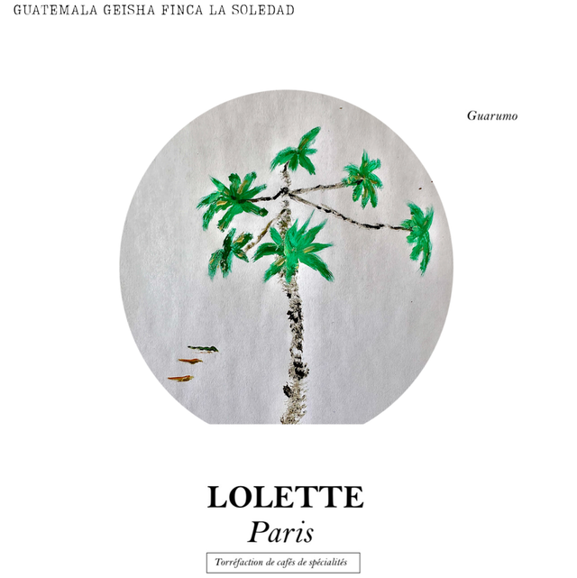 Café Geisha Finca La Soledad (125g, 250g)