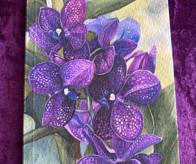 Lined Note Pad Orchid Purle