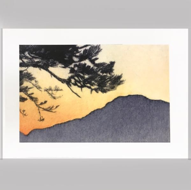  'High Pine lV (detail)' cards  x 3