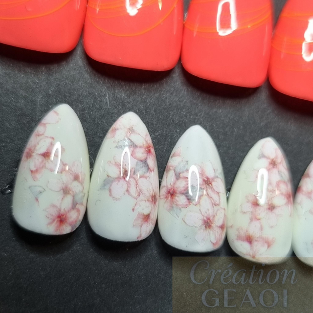 Corail Spider foil little Amande xs