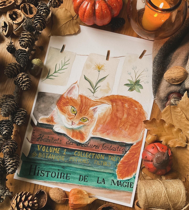 Le chat de la sorcière - carte postale